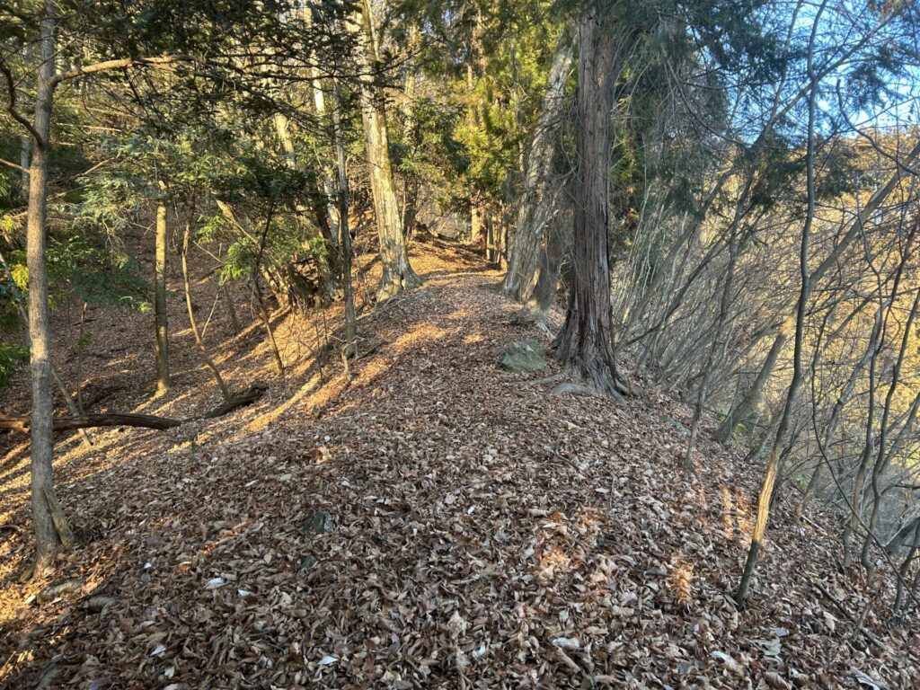 両見山登山道尾根取り付き