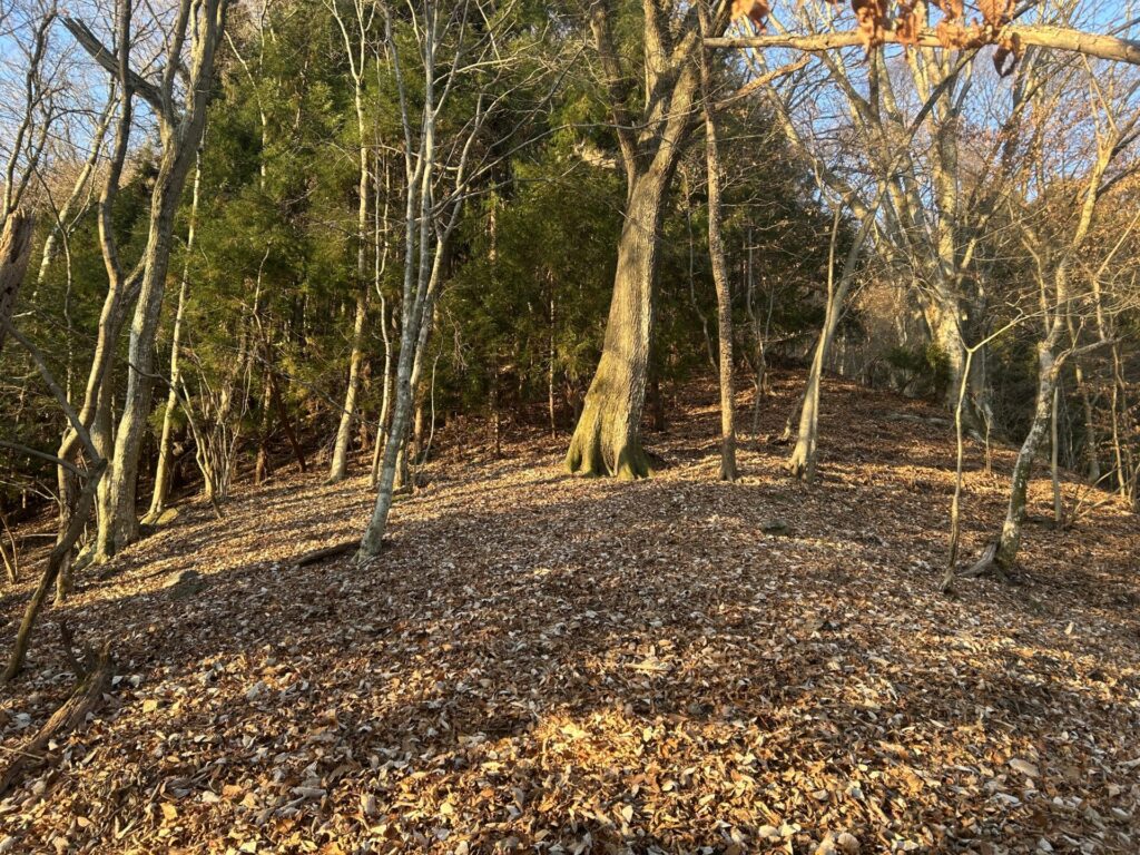 両見山荒れた登山道