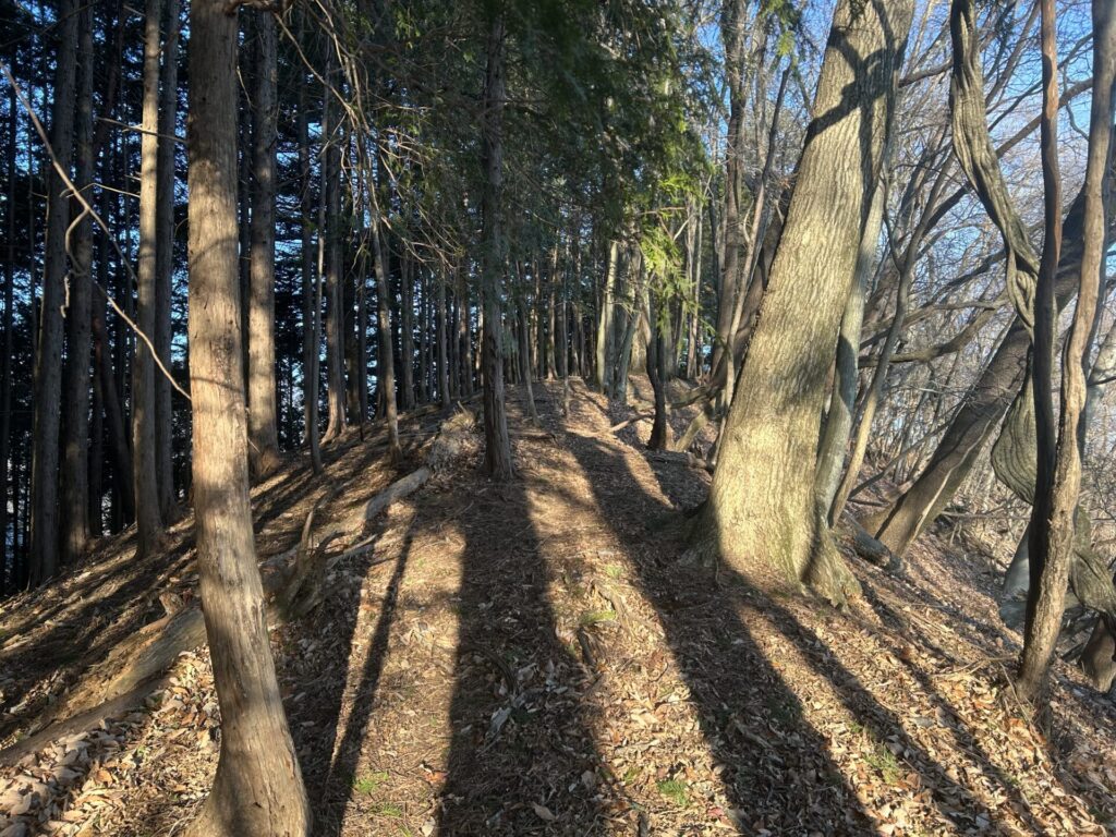 両見山登山稜線