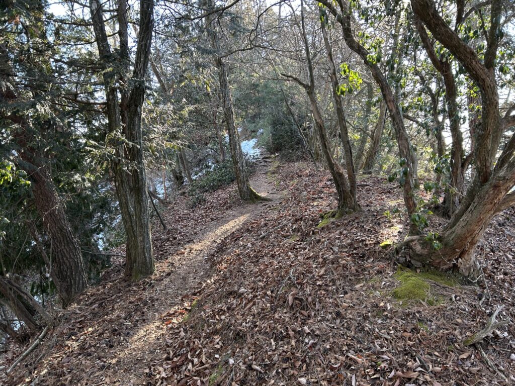 甲仁田山登山道