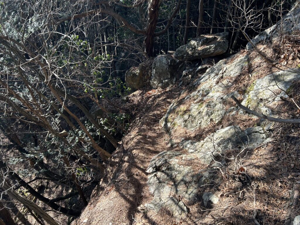 甲仁田山登山道危険箇所