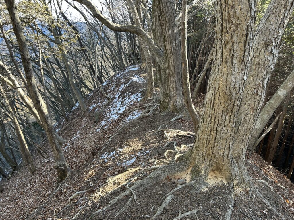 甲仁田山尾根道