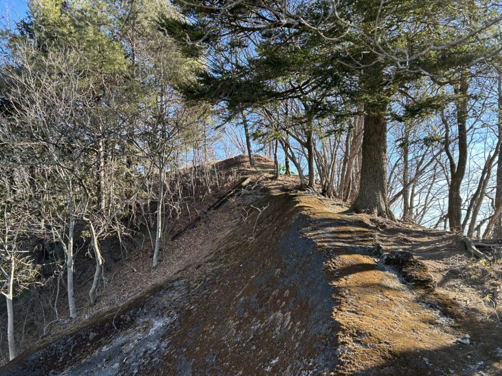 甲仁田山電波塔横の道