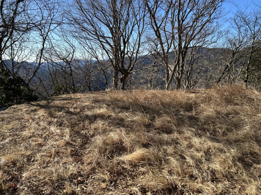 甲仁田山山頂原っぱ