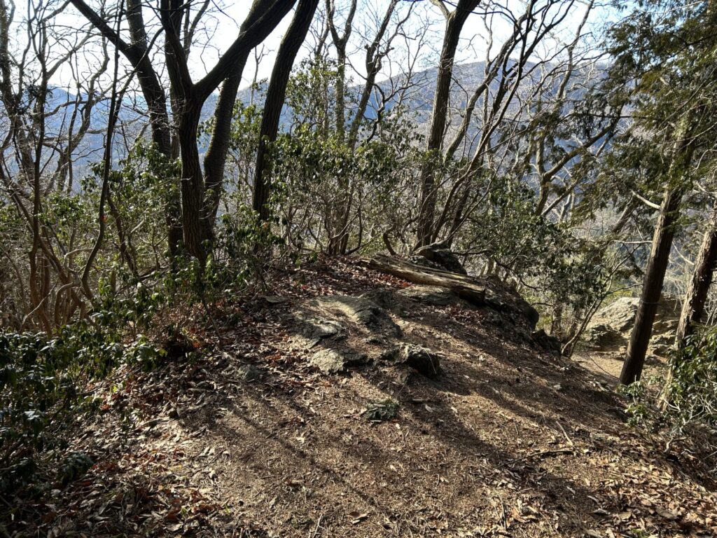 甲仁田山分岐と岩峰