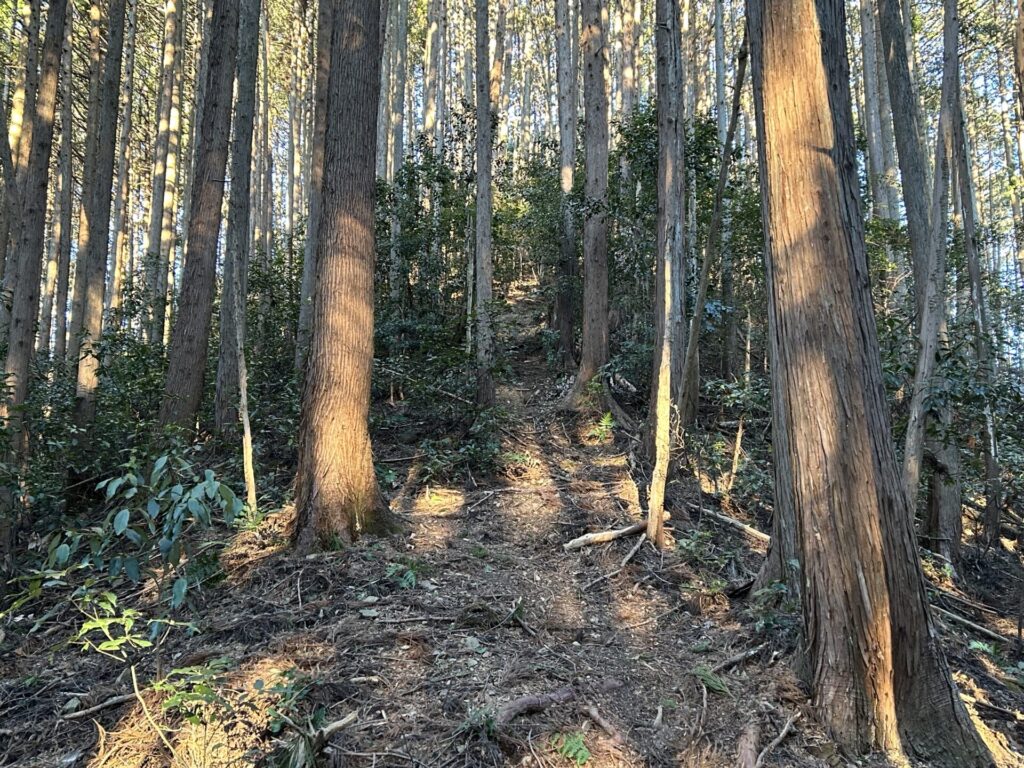 素戔嗚神社裏道