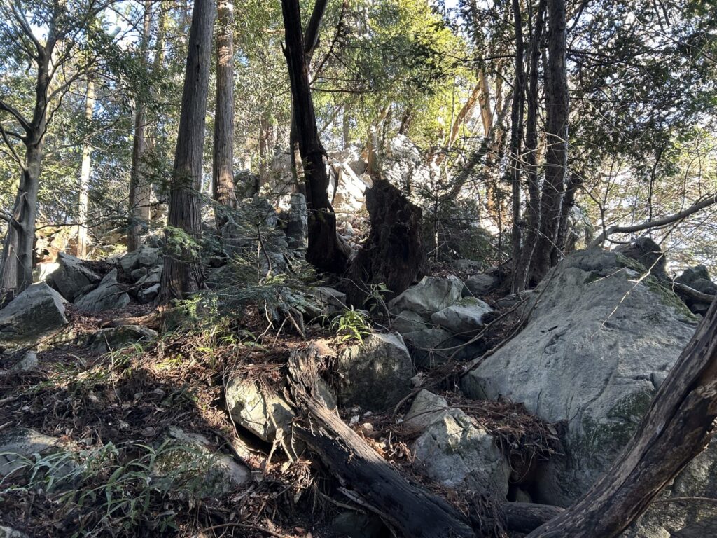 楢抜山手前の岩場