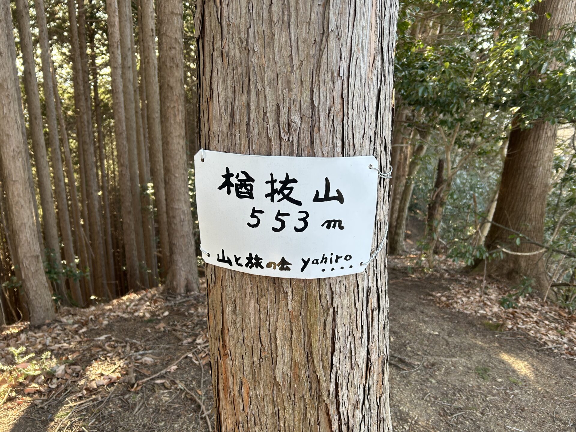 楢抜山山頂