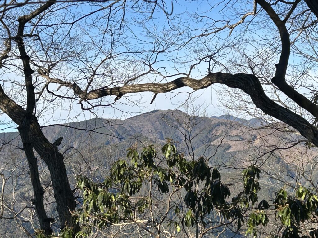 楢抜山山頂からの棒ノ嶺