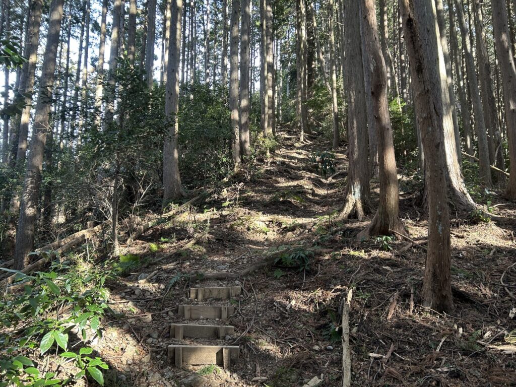 仁田山峠からの登山道