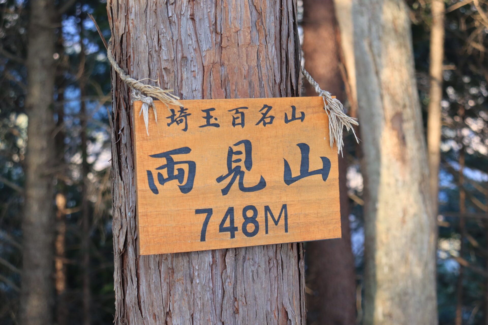 両見山山頂標識