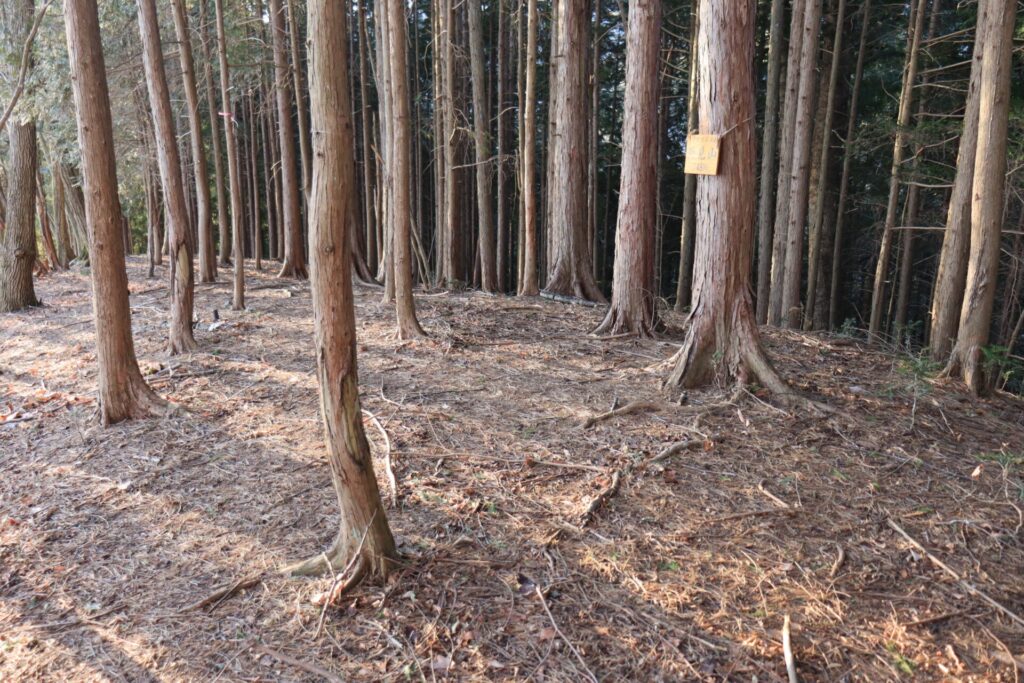 両見山山頂広場