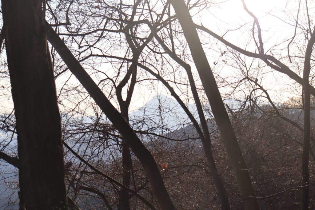 両見山からの武甲山