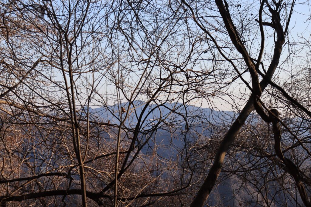 両見山からの城峯山