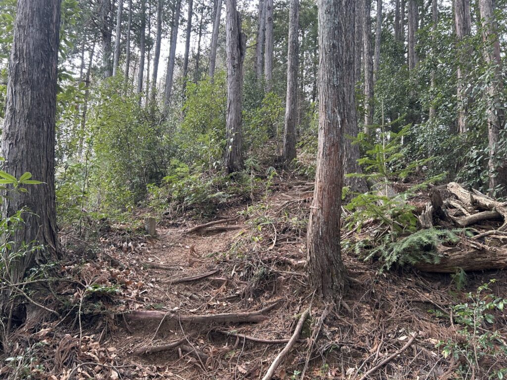 原市場神社裏の登山道