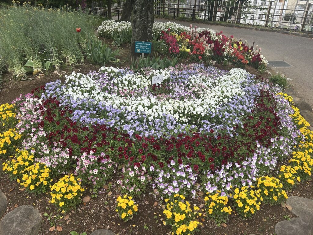 飛鳥山公園の花