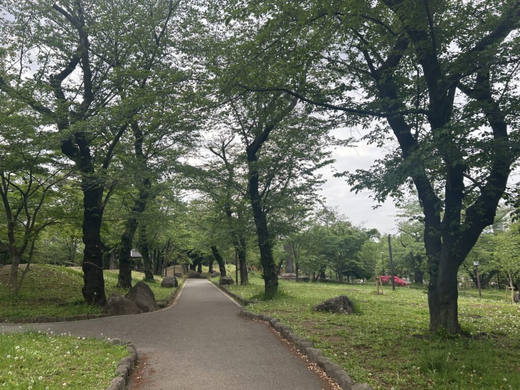 北区飛鳥山公園の桜