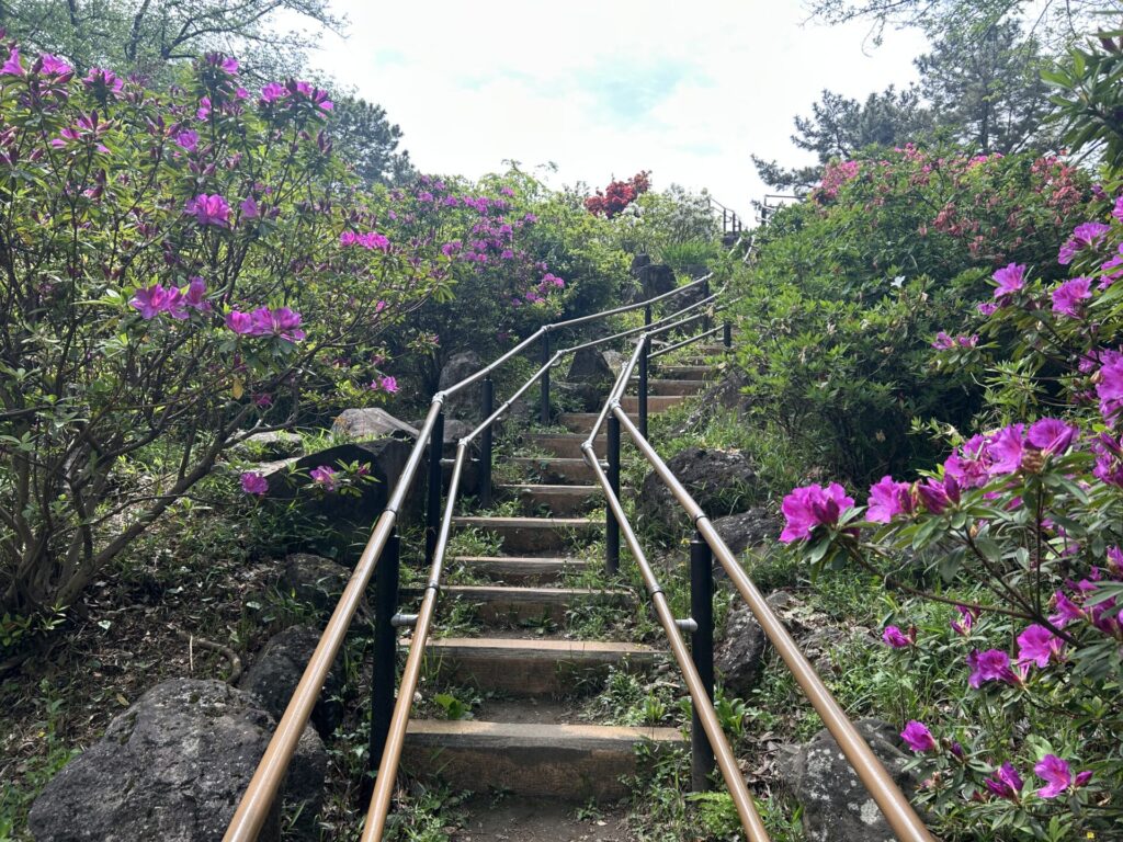 箱根山山頂階段