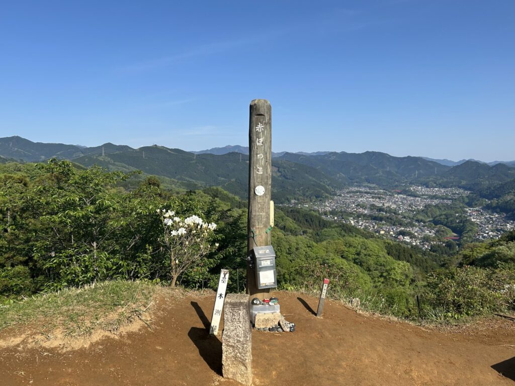 赤ぼっこ山頂