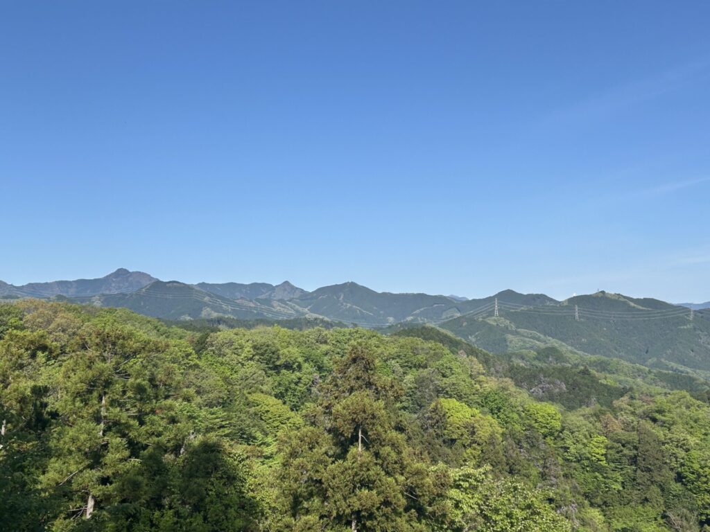 赤ぼっこ山頂からの奥多摩の山々