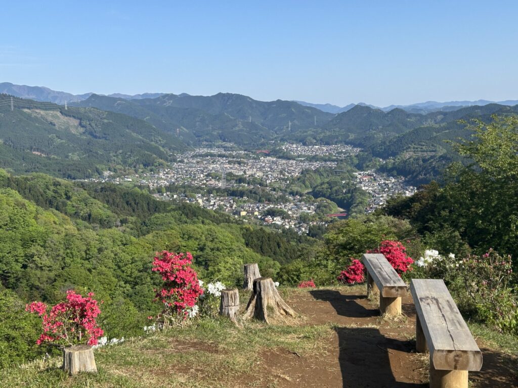 赤ぼっこからの青梅市とツツジ