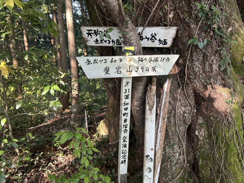 愛宕山の山頂