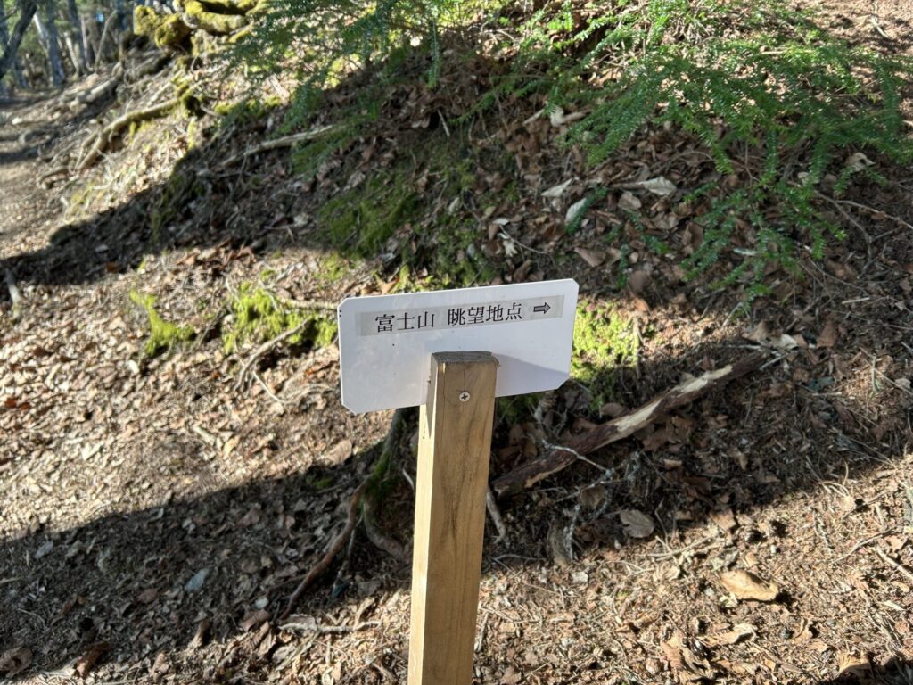 前白岩山富士山展望所