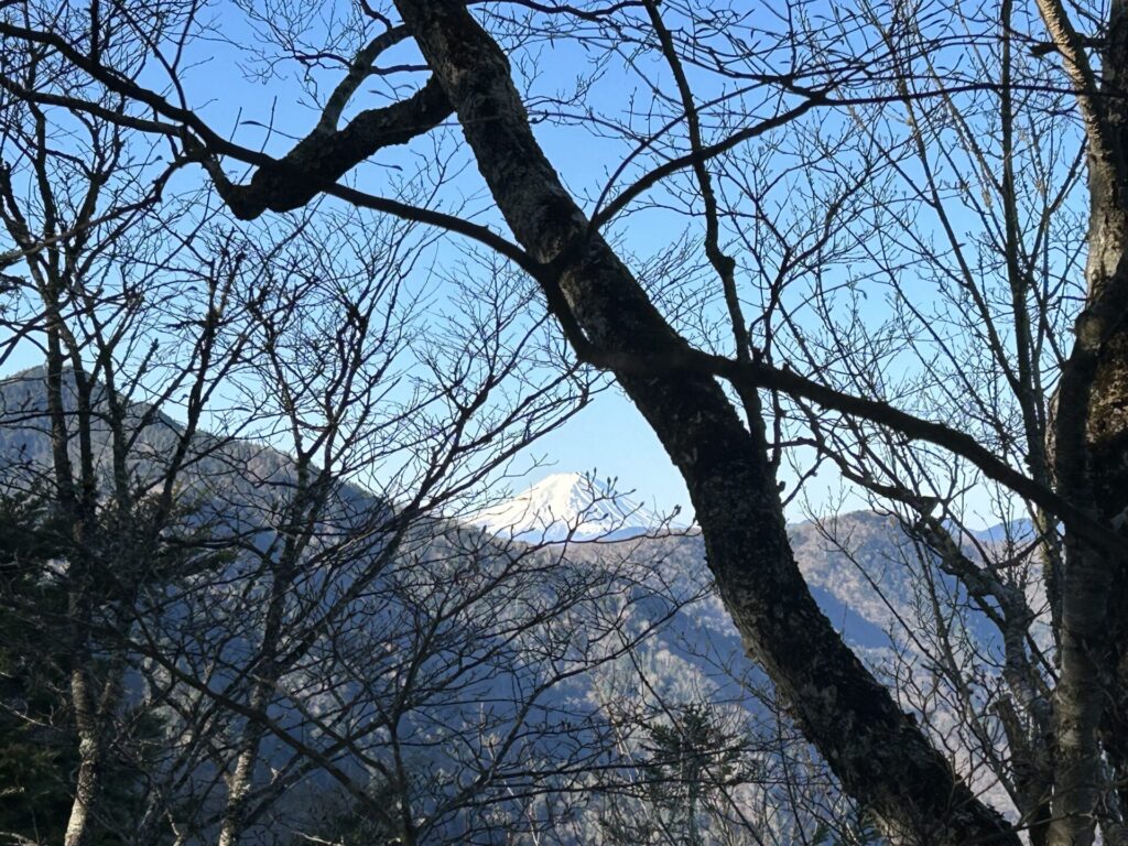前白岩山からの富士山