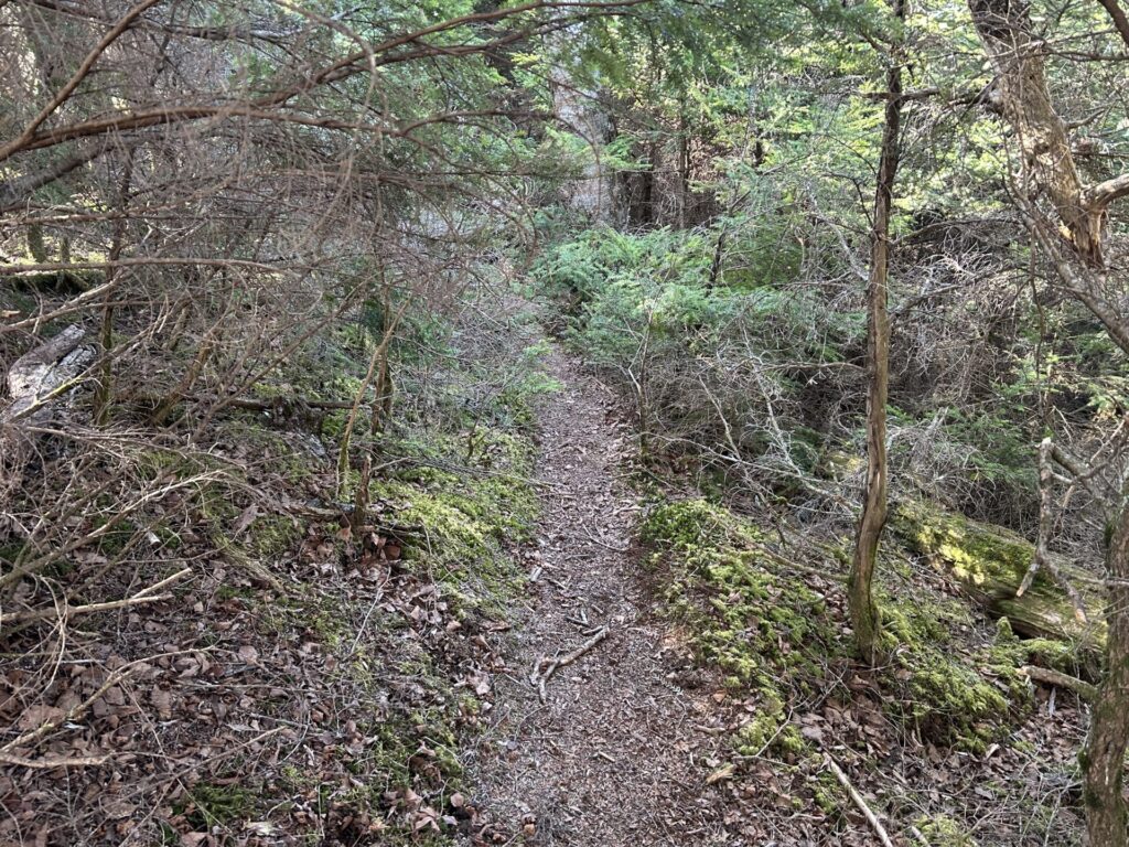 芋ノ木ドッケ山頂までの道