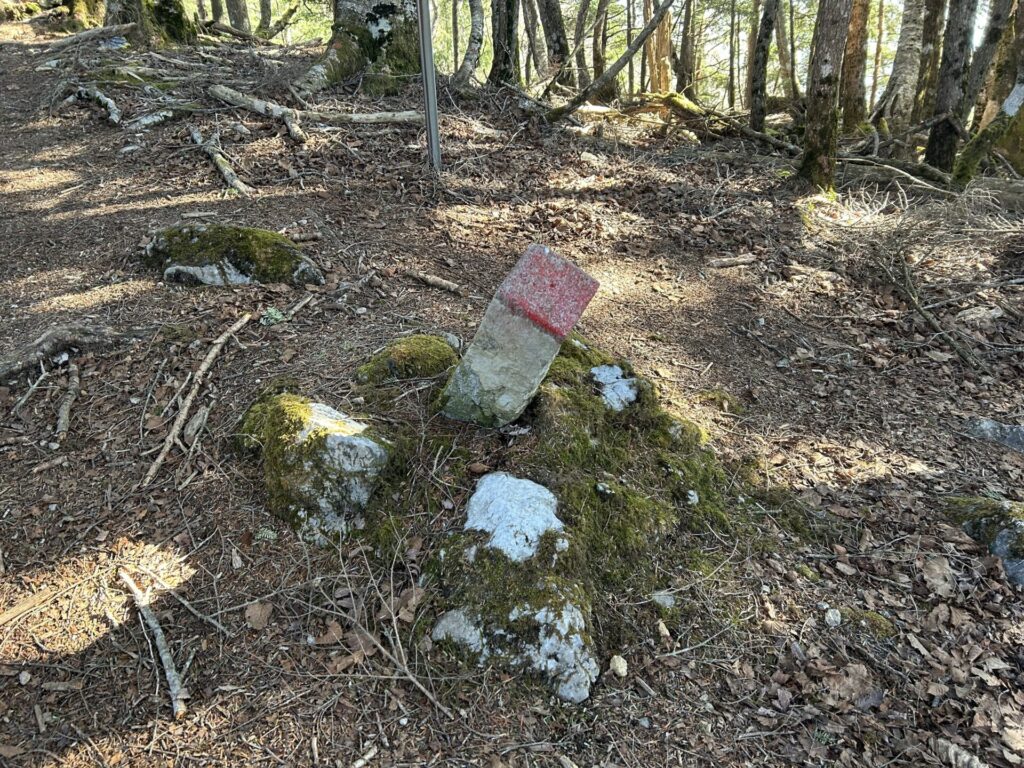 芋ノ木ドッケのピーク