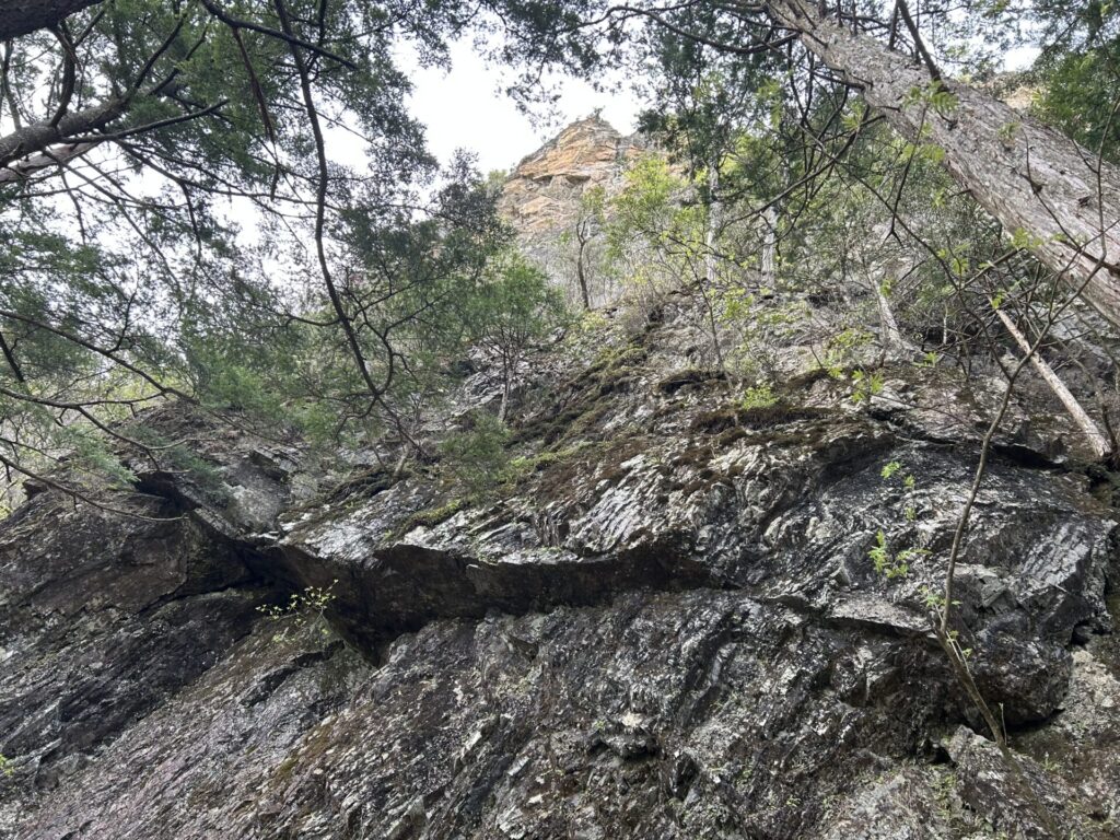 赤岩岳の岩稜