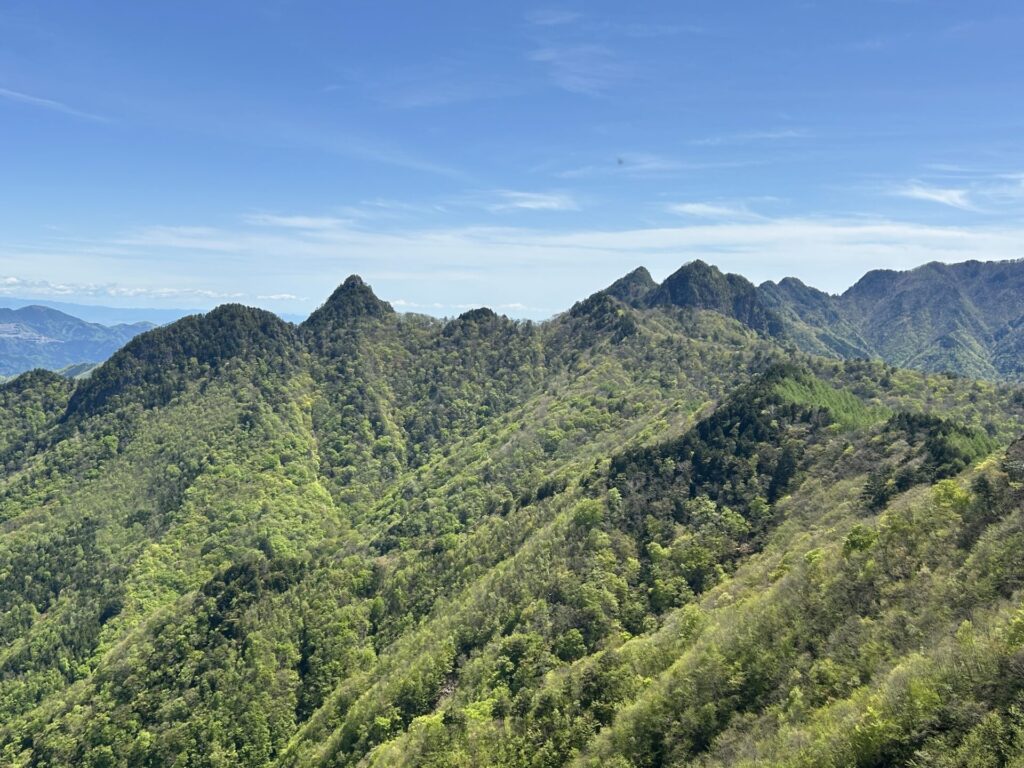 宗四郎山からのお大ナゲシ