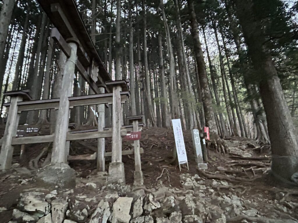 奥宮分岐