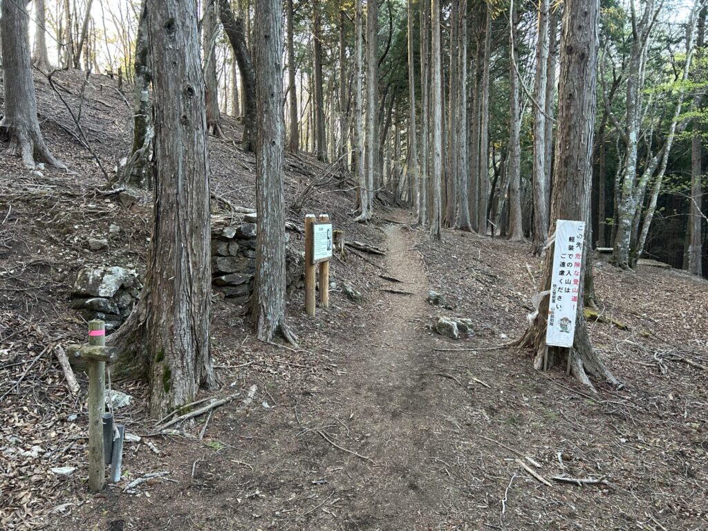 炭焼平