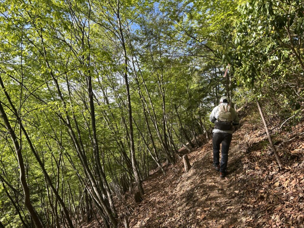 赤岩岳、宗四郎山新緑の登山道