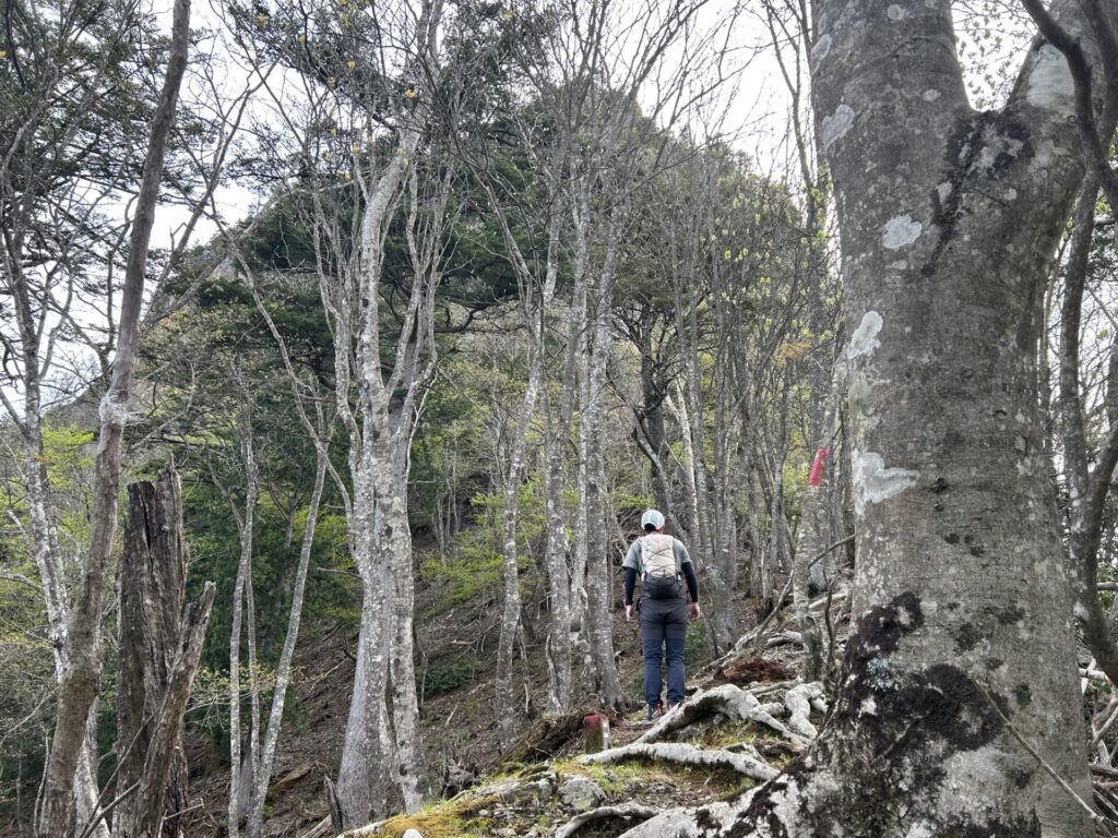 赤岩岳聳える