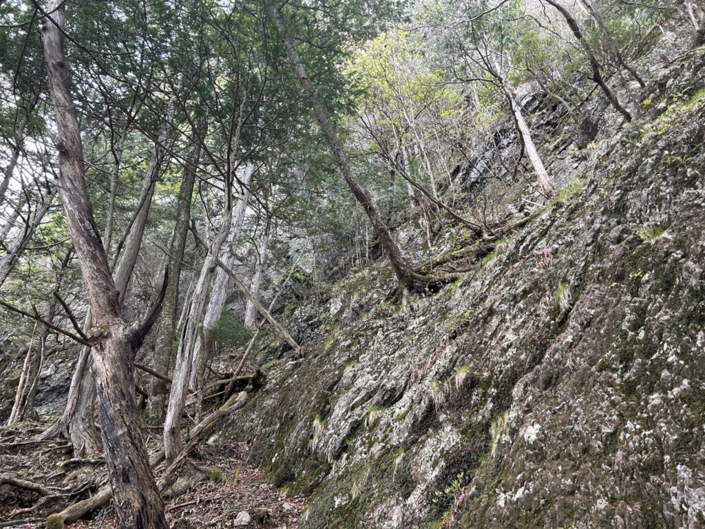 赤岩岳の岸壁