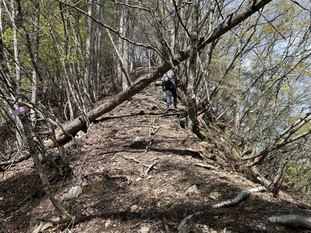 宗四郎山への稜線