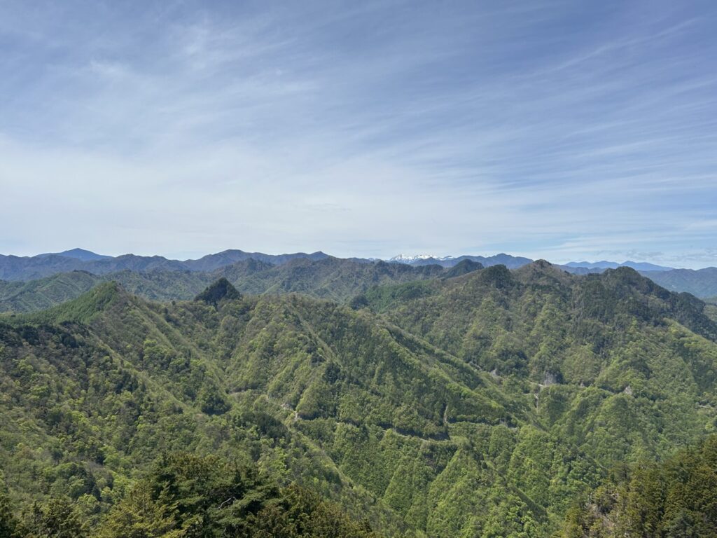大ナゲシからの八ヶ岳