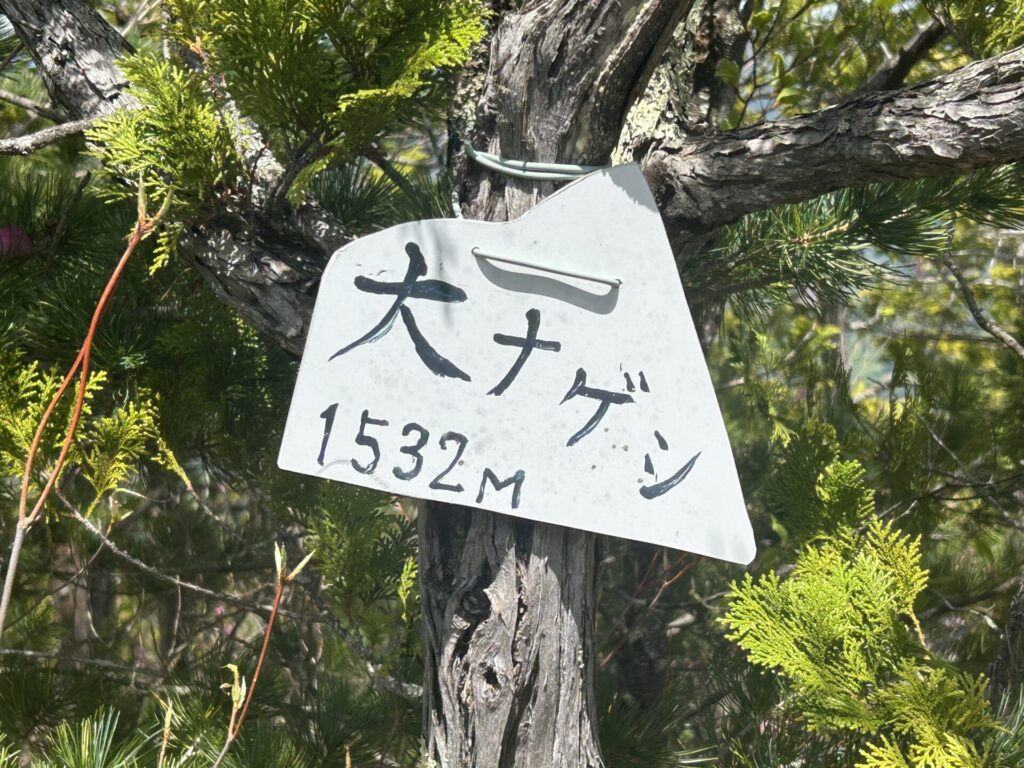 大ナゲシ山頂標識