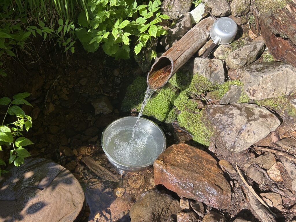 乙女の水