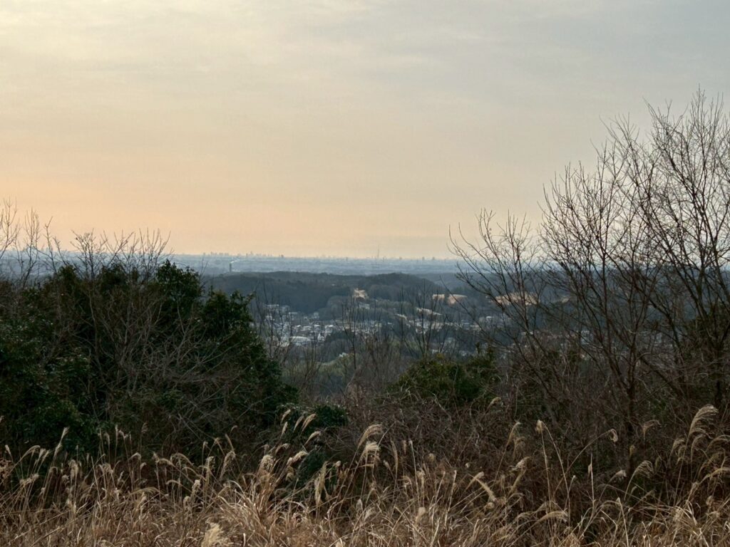 堂山からの眺め