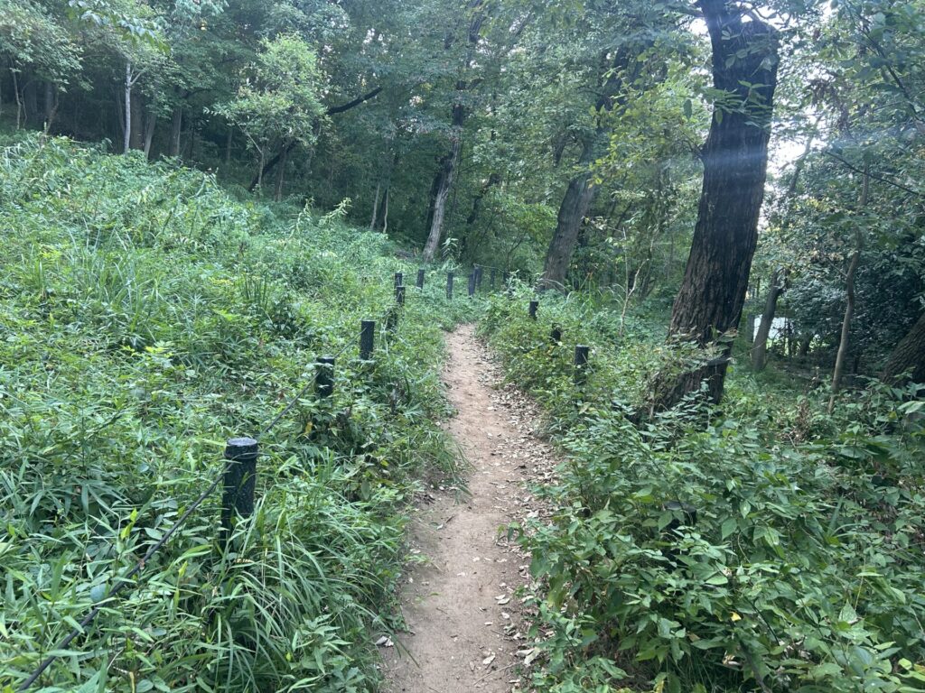 浅間山公園ハイキングコース