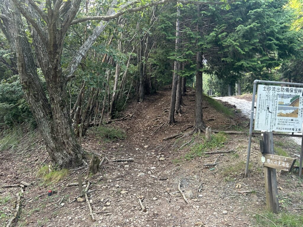 飯盛山(ときがわ)登山道