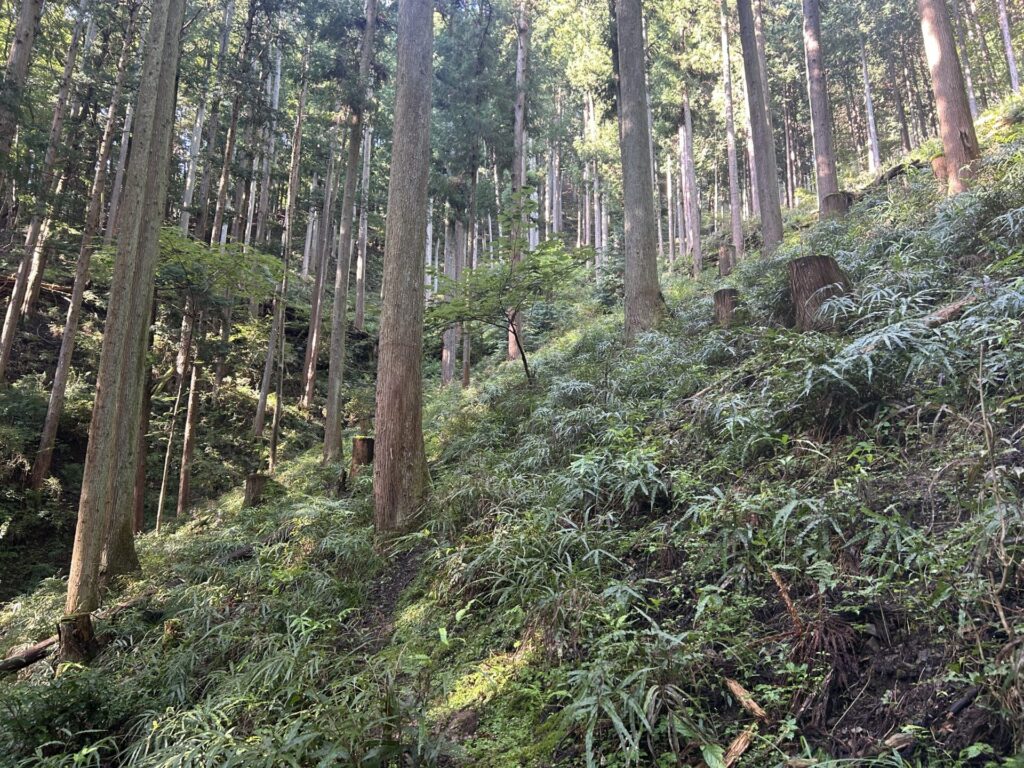 猪狩山登山口