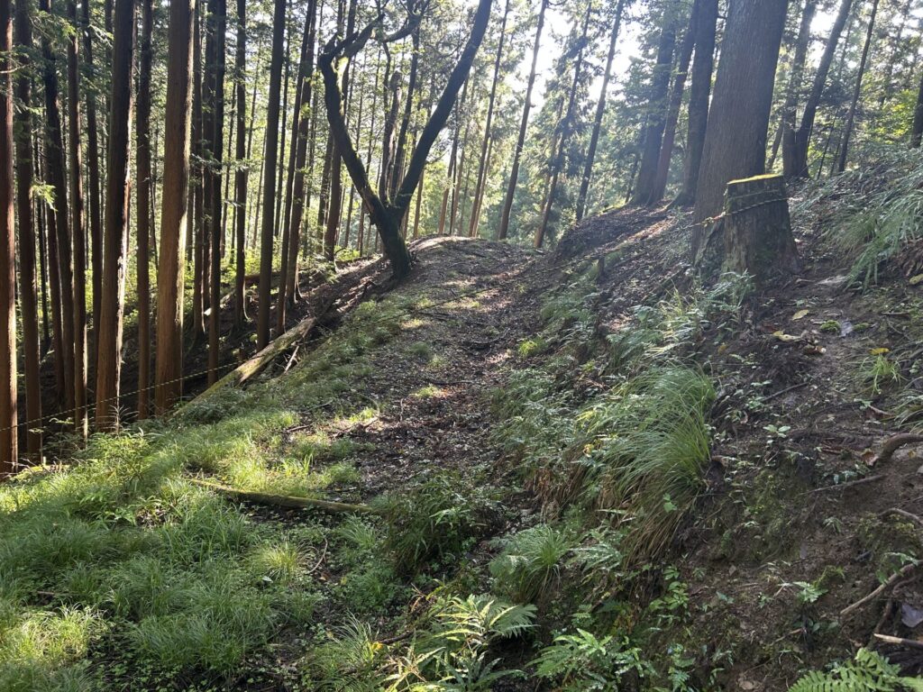 猪狩山虎テープ