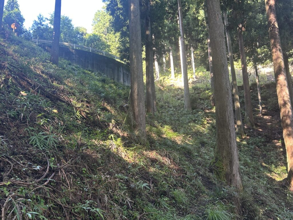 猪狩山林道