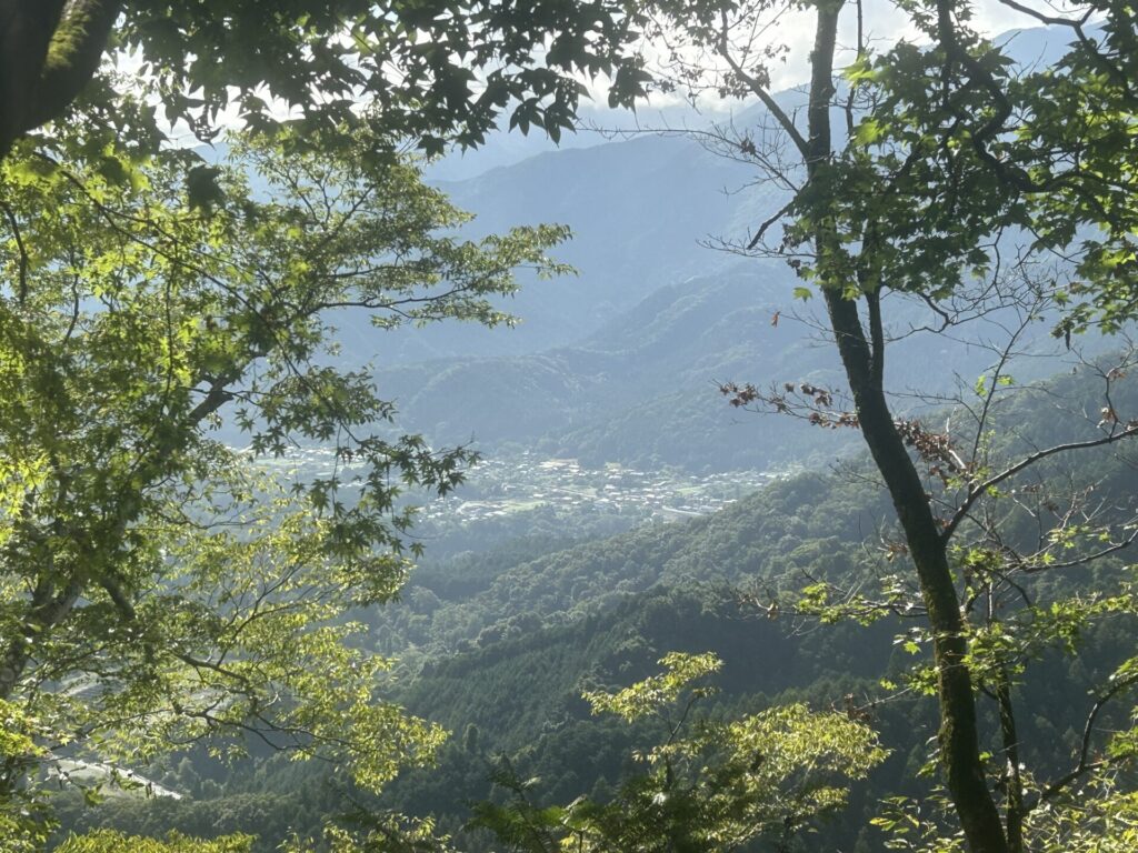 猪狩山中腹からの景色