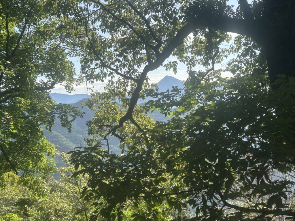 猪狩山中腹からの武甲山