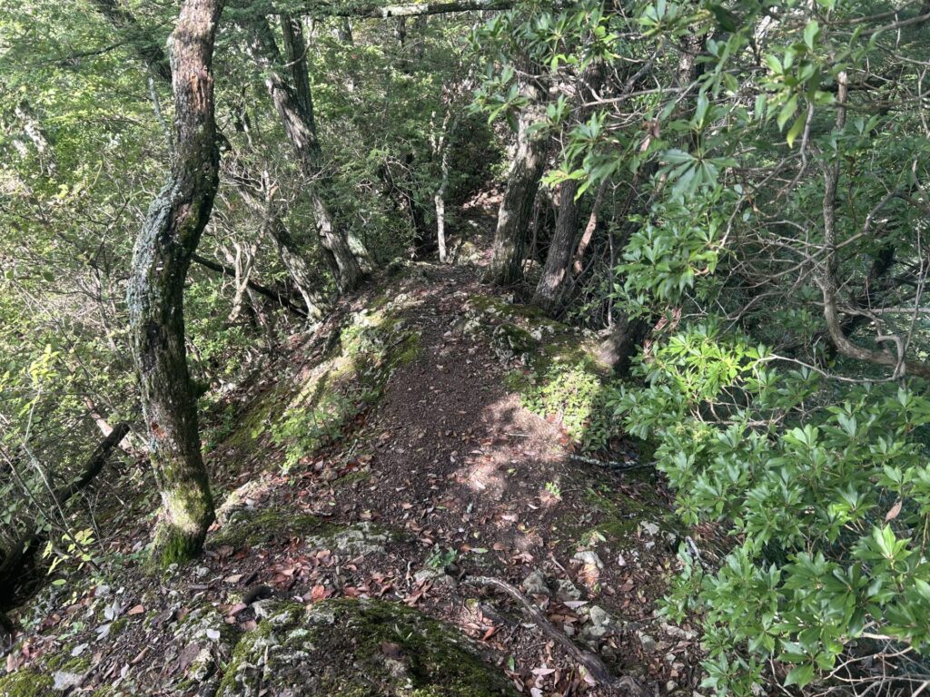 鞍掛山からの稜線